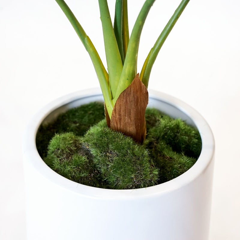 セローム フェイクグリーン [125]