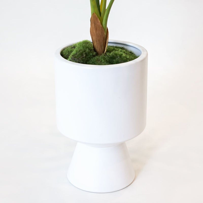 セローム フェイクグリーン [125]