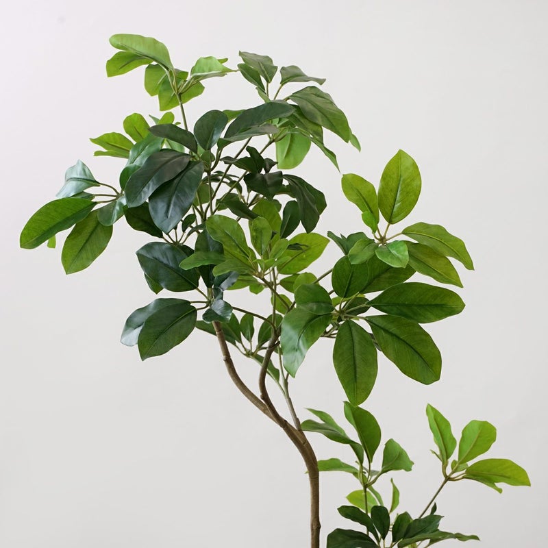 シェフレラM フェイクグリーン [59]