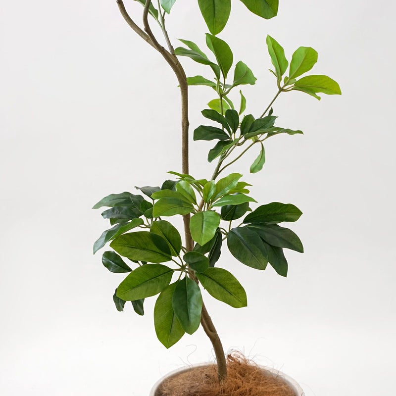 シェフレラM フェイクグリーン [59]