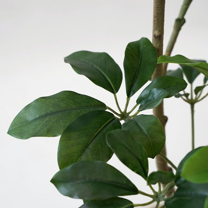 シェフレラM フェイクグリーン [59]