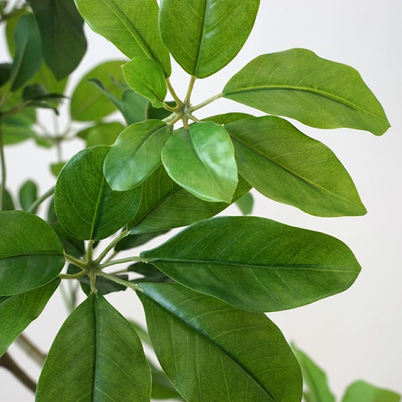 シェフレラM フェイクグリーン [59]