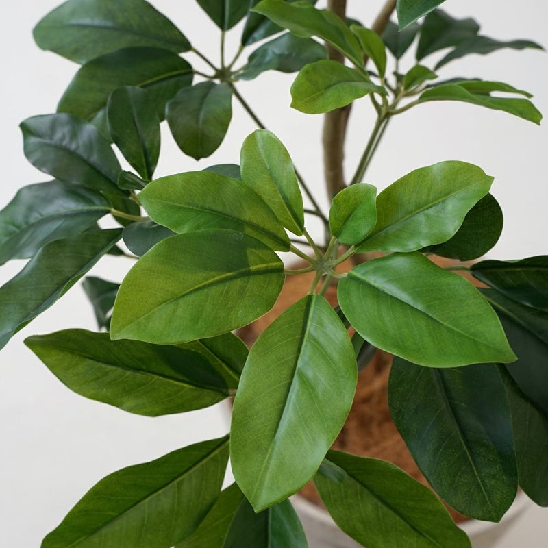 シェフレラM フェイクグリーン [59]