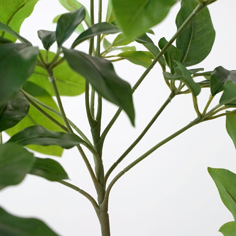 シェフレラM フェイクグリーン [59]