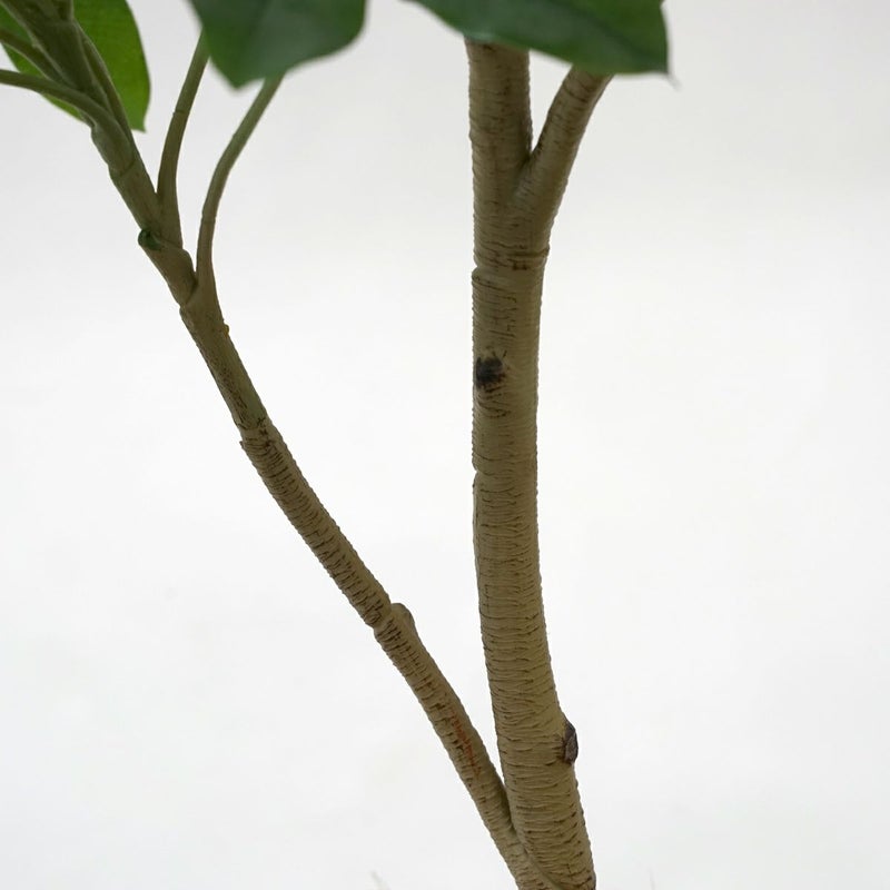 シェフレラM フェイクグリーン [59]