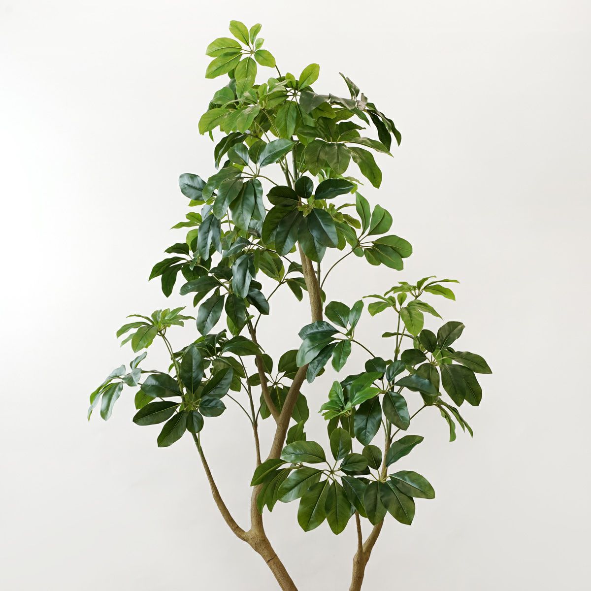 シェフレラL フェイクグリーン [127] BA 高さ185cm 観葉植物 開店祝い