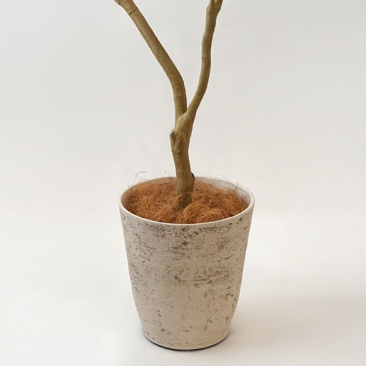 シェフレラL フェイクグリーン [127]