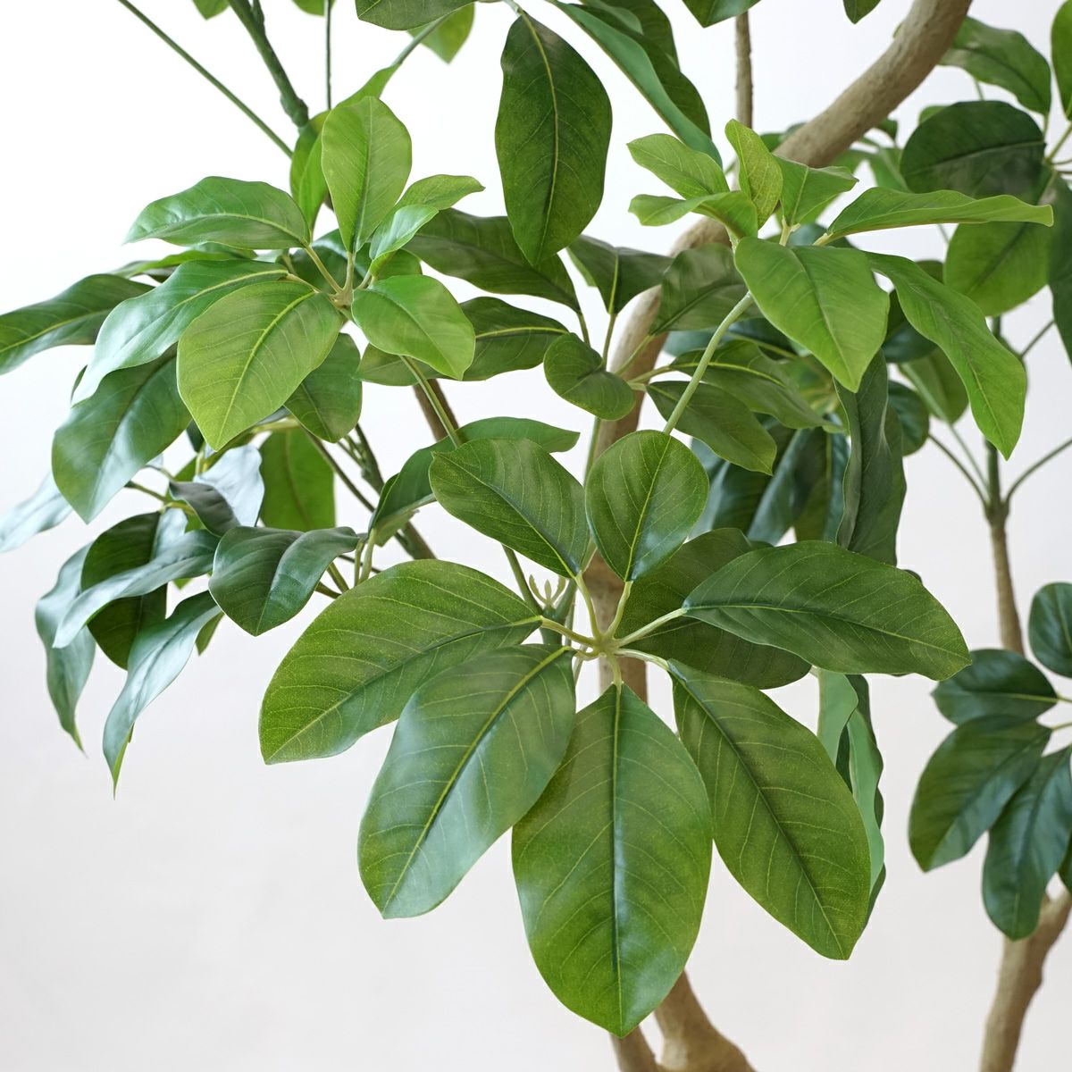 シェフレラL フェイクグリーン [127] BA 高さ185cm 観葉植物 開店祝い