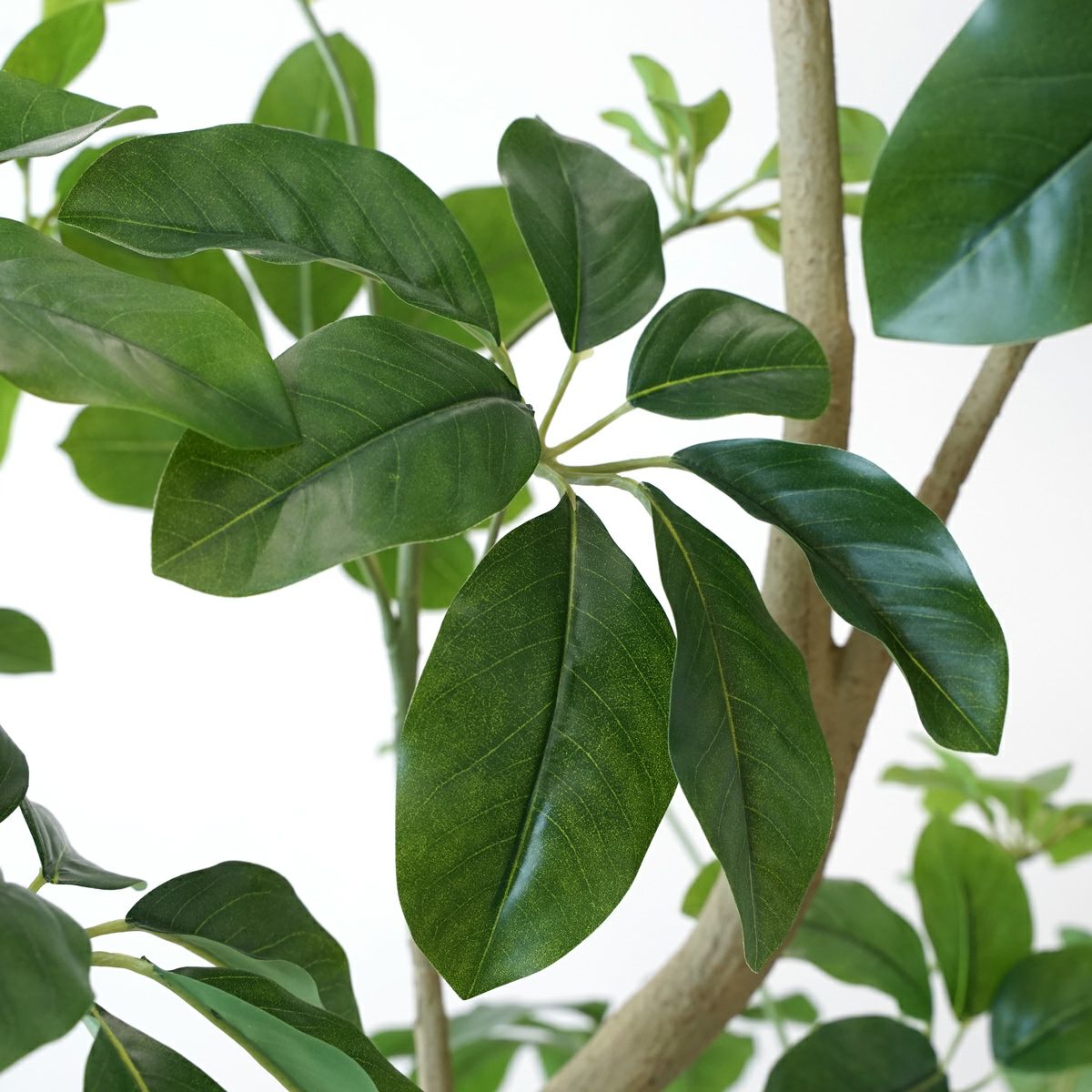 シェフレラL フェイクグリーン [127] BA 高さ185cm 観葉植物 開店祝い