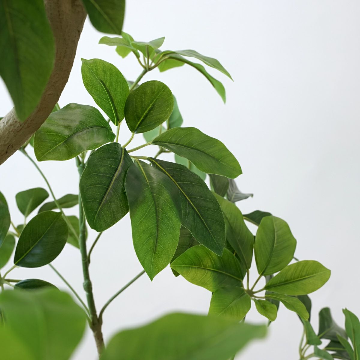 シェフレラL フェイクグリーン [127] BA 高さ185cm 観葉植物 開店祝い