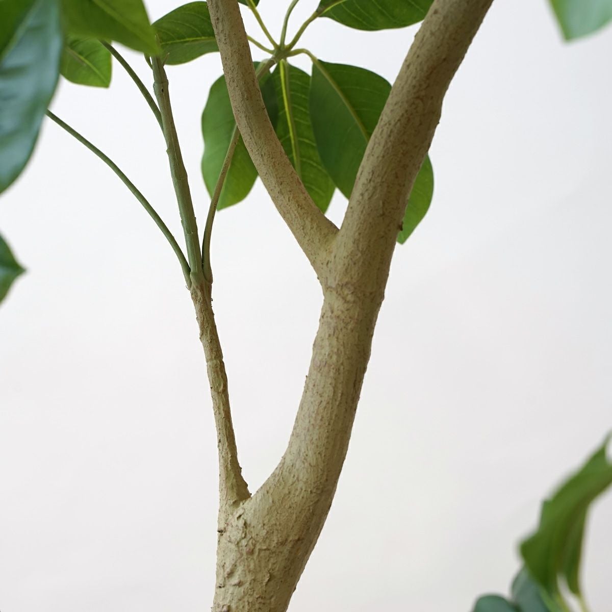 シェフレラL フェイクグリーン [127]