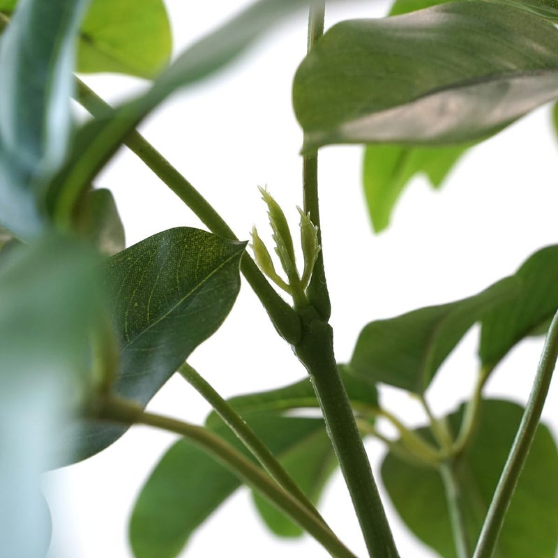 シェフレラL フェイクグリーン [127]