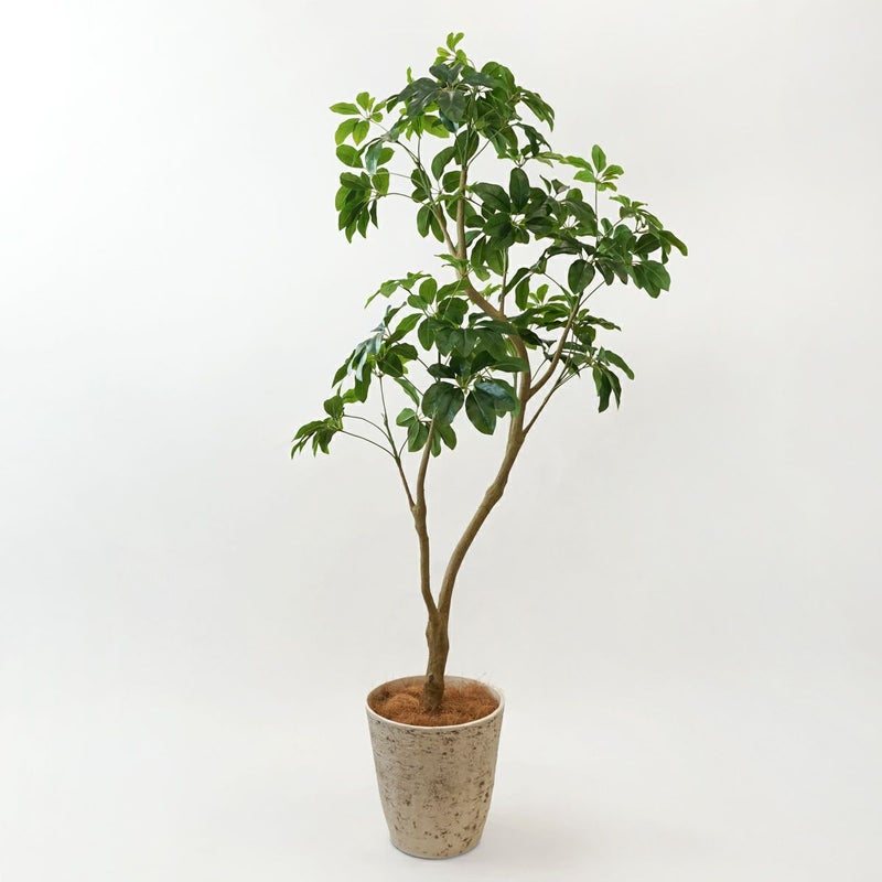 シェフレラL フェイクグリーン [127]