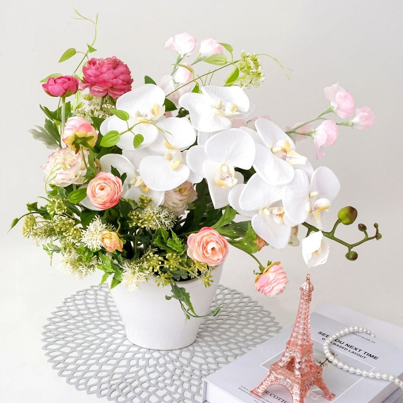 胡蝶蘭 ラナンキュラス アレンジメント [WEB378D]