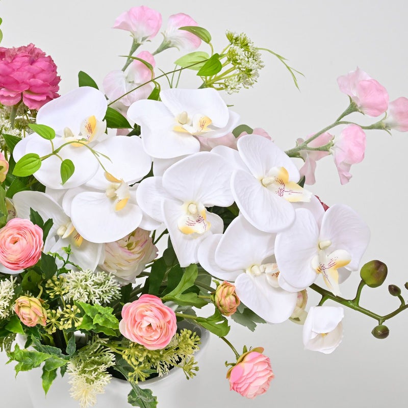 胡蝶蘭 ラナンキュラス アレンジメント [WEB378D]