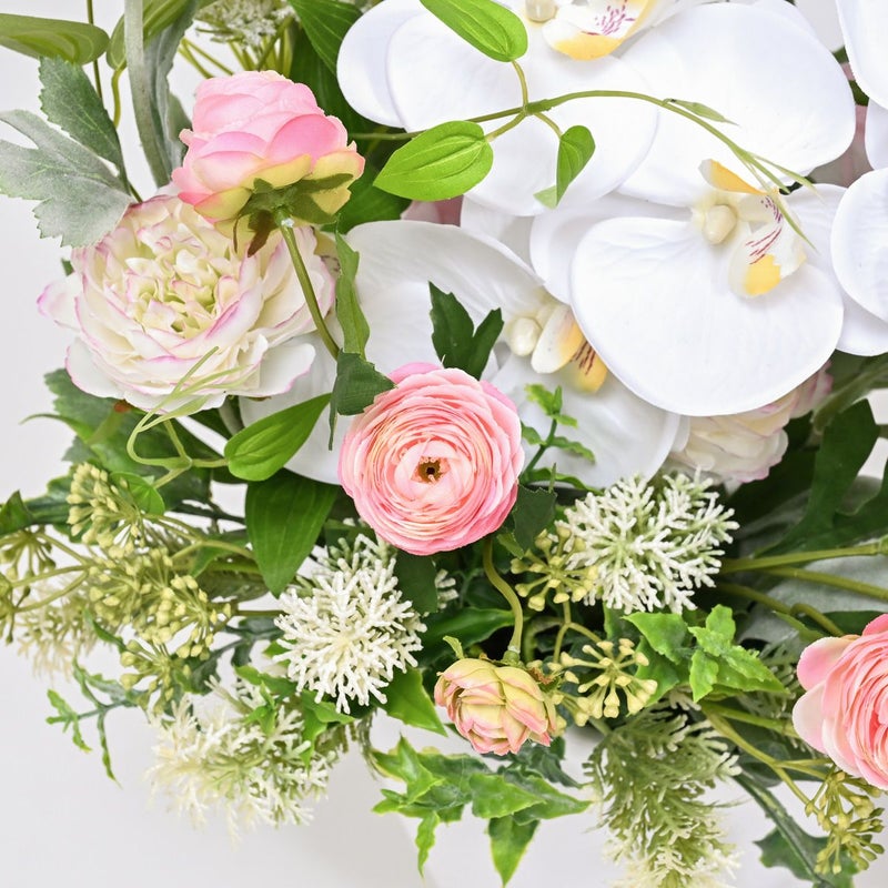 胡蝶蘭 ラナンキュラス アレンジメント [WEB378D]