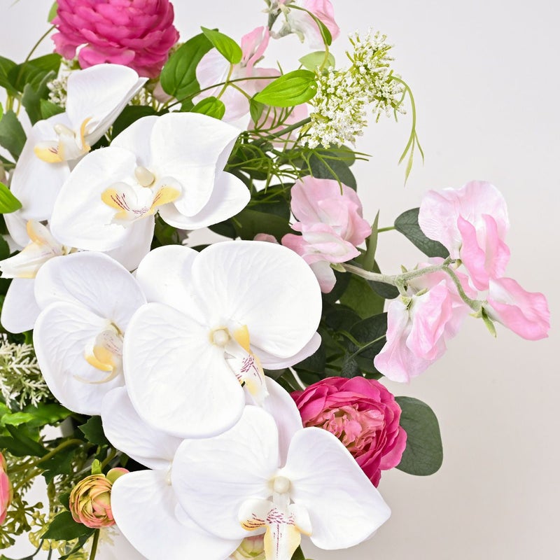 胡蝶蘭 ラナンキュラス アレンジメント [WEB378D]