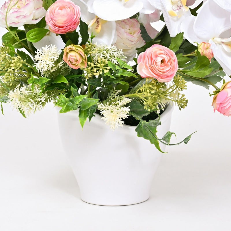 胡蝶蘭 ラナンキュラス アレンジメント [WEB378D]