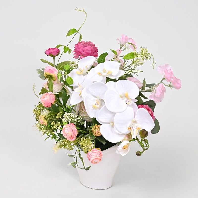 胡蝶蘭 ラナンキュラス アレンジメント [WEB378D]