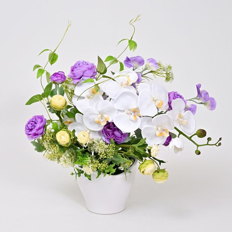 胡蝶蘭 ラナンキュラス アレンジメント [WEB386B]