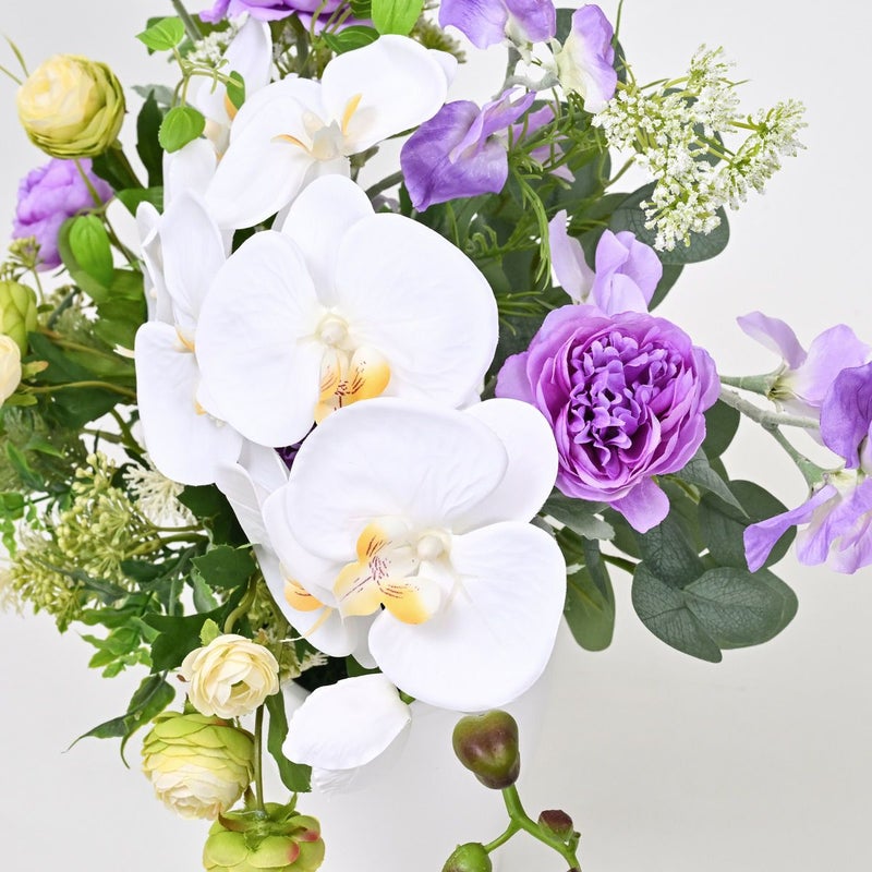 胡蝶蘭 ラナンキュラス アレンジメント [WEB386B]