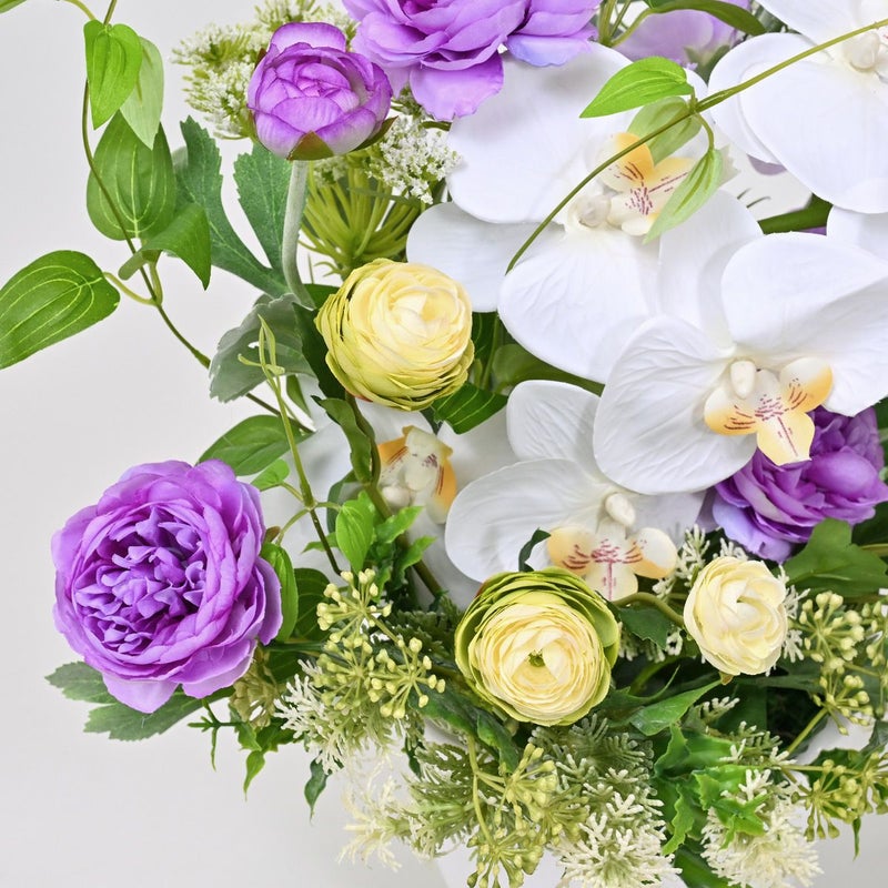 胡蝶蘭 ラナンキュラス アレンジメント [WEB386B]