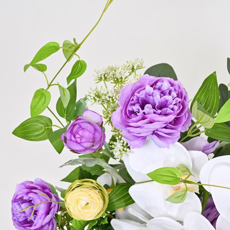 胡蝶蘭 ラナンキュラス アレンジメント [WEB386B]