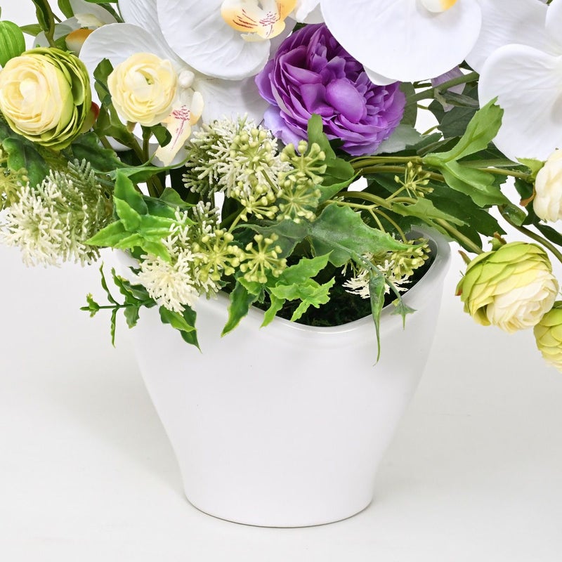 胡蝶蘭 ラナンキュラス アレンジメント [WEB386B]