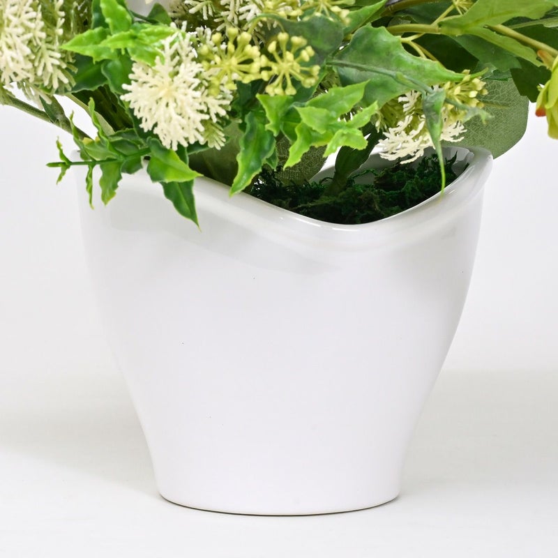 胡蝶蘭 ラナンキュラス アレンジメント [WEB386B]