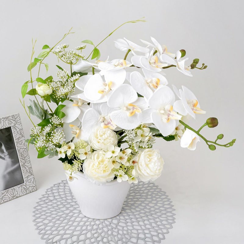 胡蝶蘭 ラナンキュラス アレンジメント [WEB606]