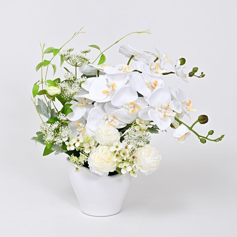 胡蝶蘭 ラナンキュラス アレンジメント [WEB606]