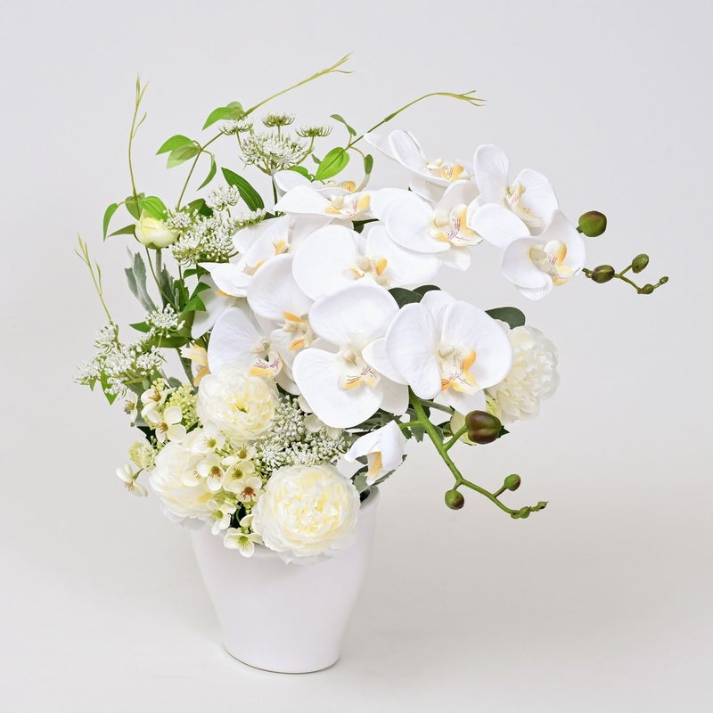 胡蝶蘭 ラナンキュラス アレンジメント [WEB606]