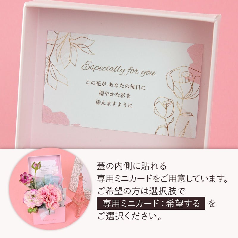 カーネーション ギフトBOX [SP-179]