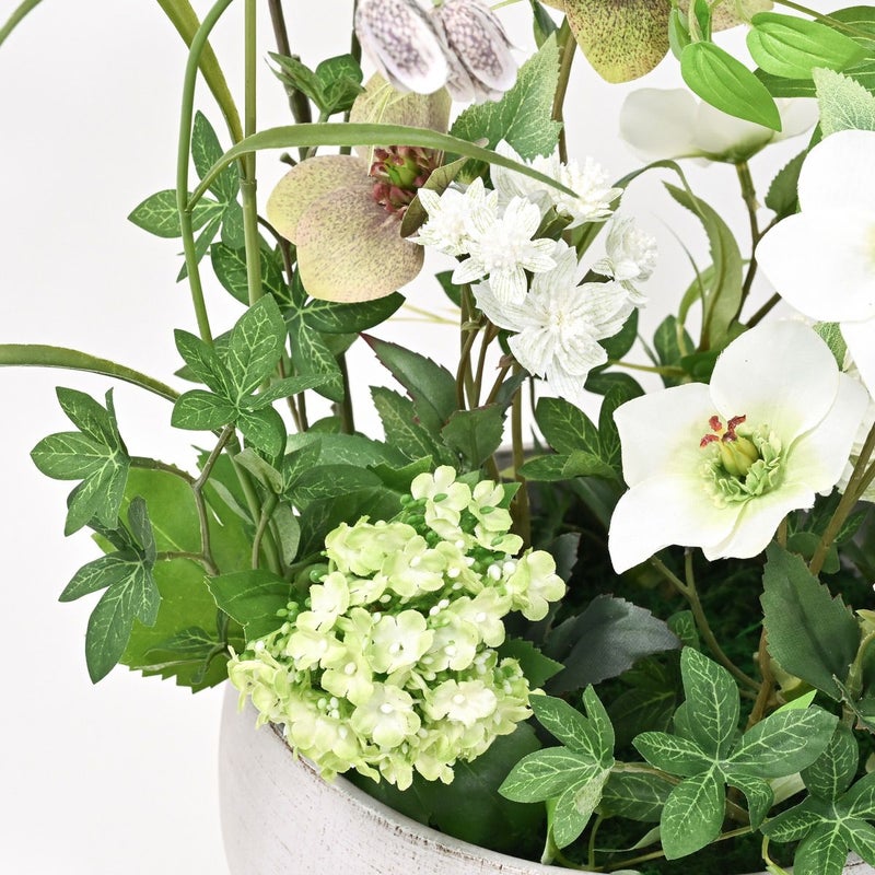 寄せ植え クリスマスローズ フェイクグリーン [147]