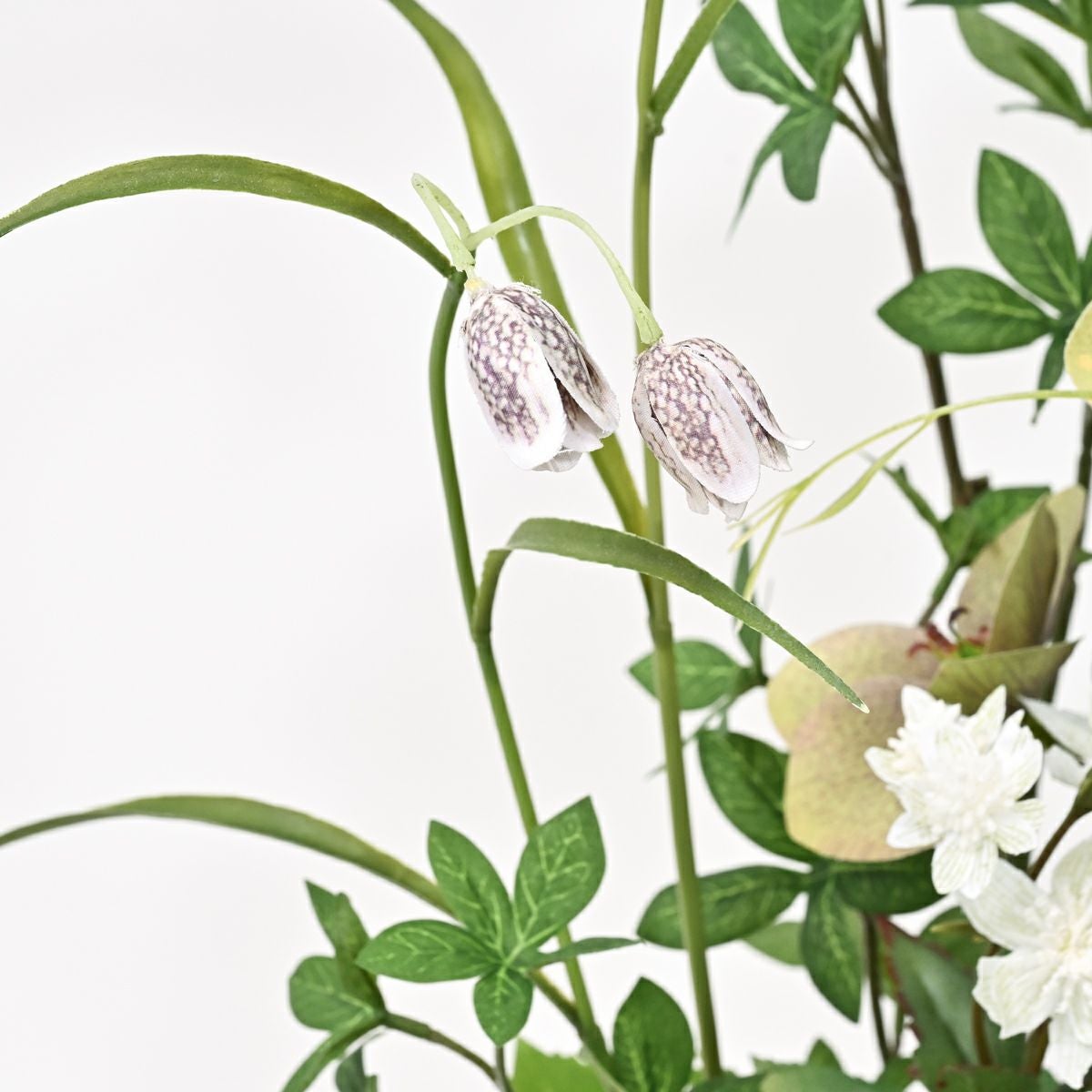 寄せ植え クリスマスローズ フェイクグリーン [147]