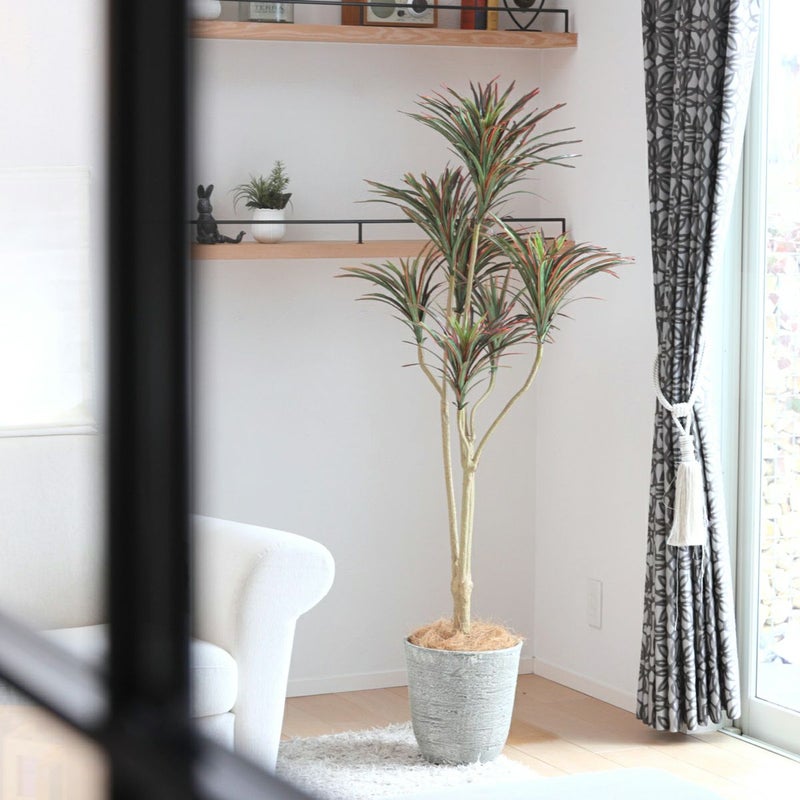 《オンライン限定》ユッカ フェイクグリーン [WEB524]