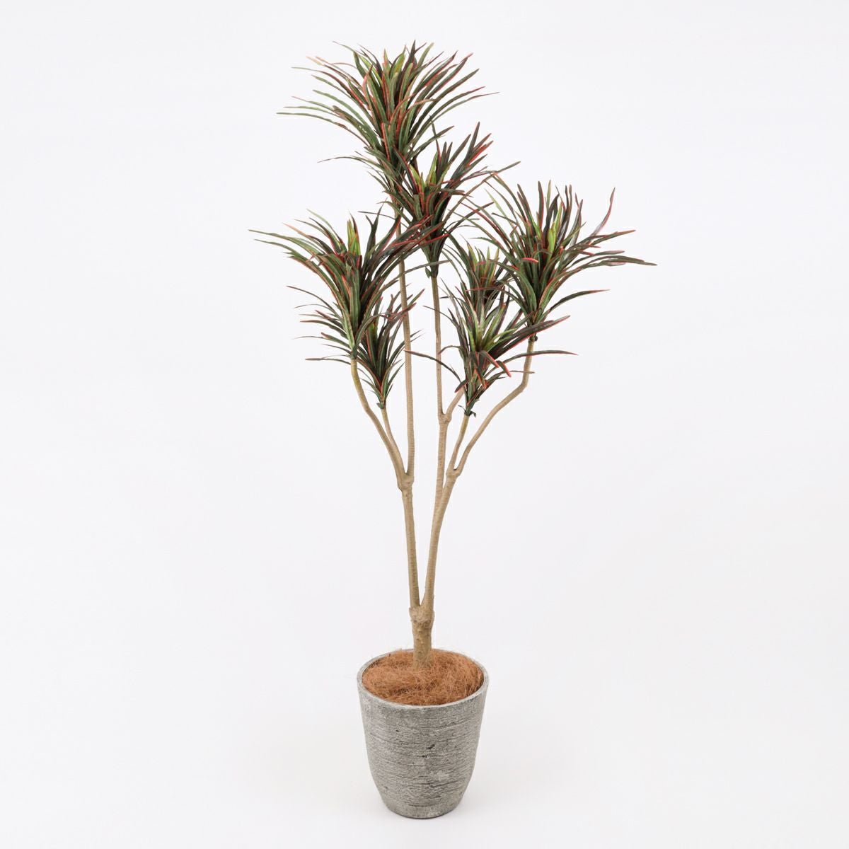 《オンライン限定》ユッカ フェイクグリーン [WEB524]