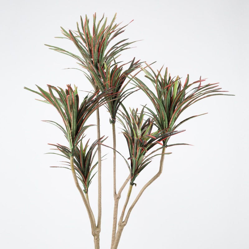 《オンライン限定》ユッカ フェイクグリーン [WEB524]