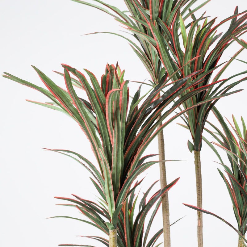 《オンライン限定》ユッカ フェイクグリーン [WEB524]