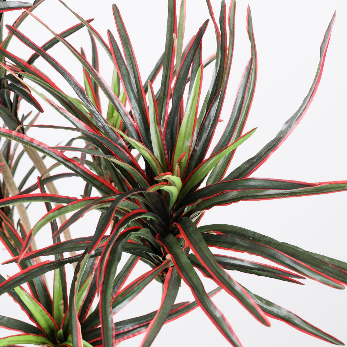 《オンライン限定》ユッカ フェイクグリーン [WEB524]