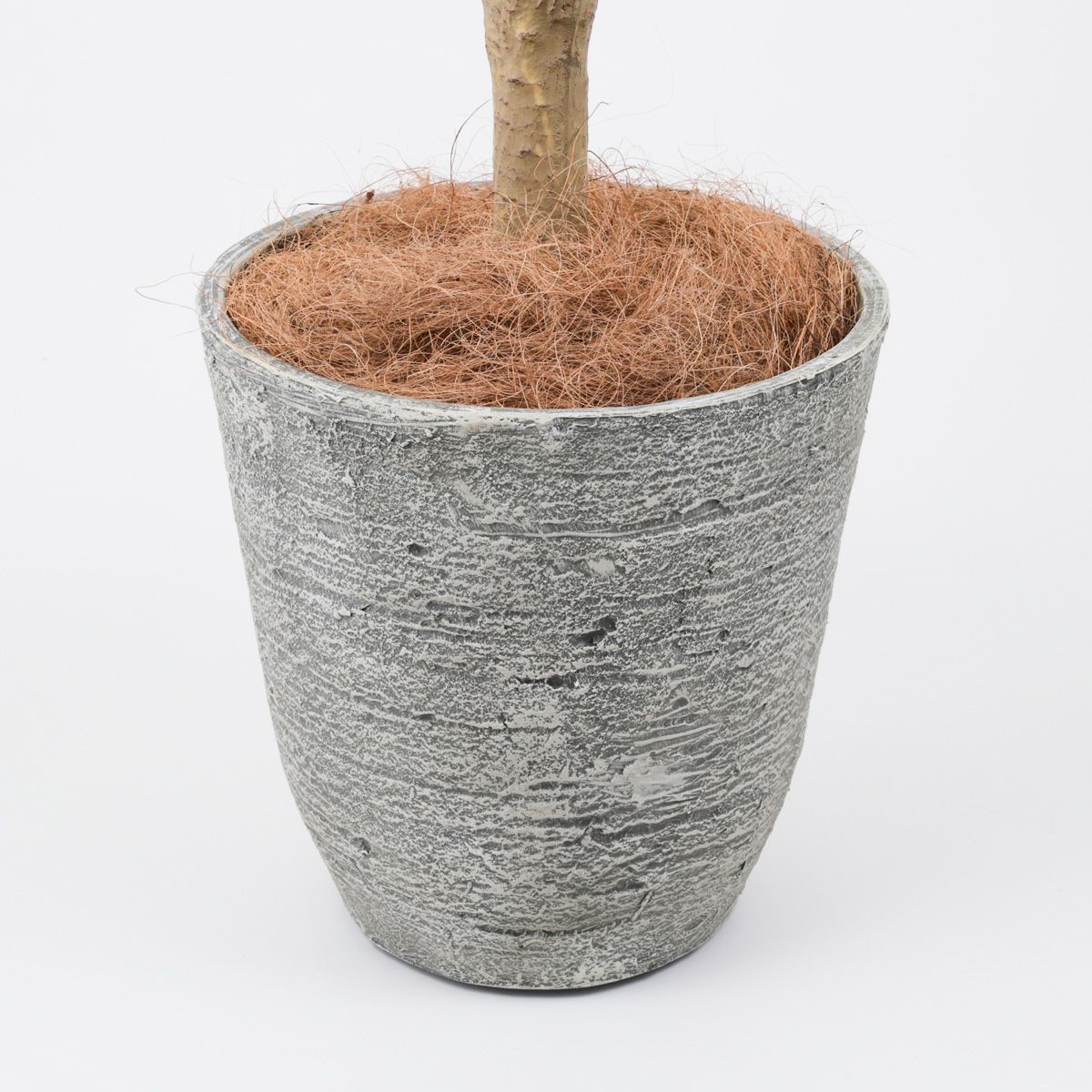 《オンライン限定》ユッカ フェイクグリーン [WEB524]