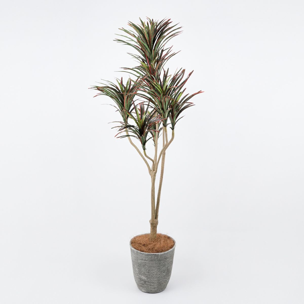 《オンライン限定》ユッカ フェイクグリーン [WEB524]