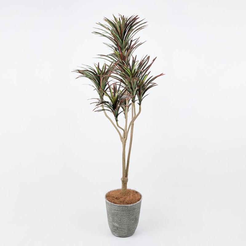 《オンライン限定》ユッカ フェイクグリーン [WEB524]