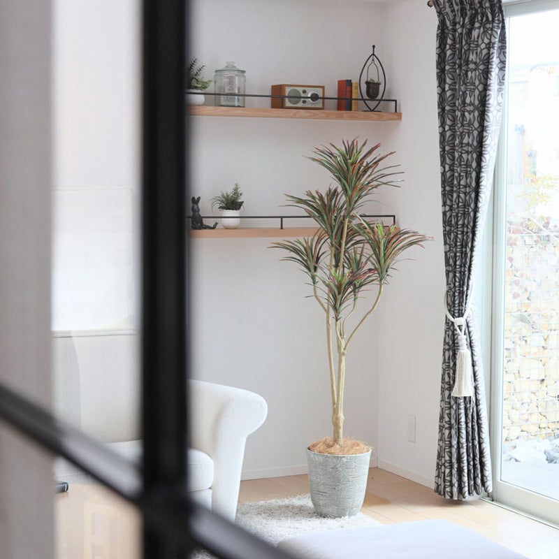 《オンライン限定》ユッカ フェイクグリーン [WEB524]