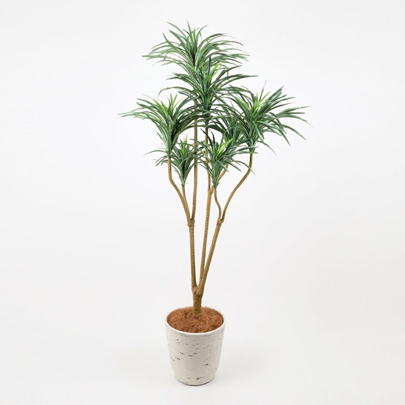 《オンライン限定》ユッカ フェイクグリーン [WEB525]