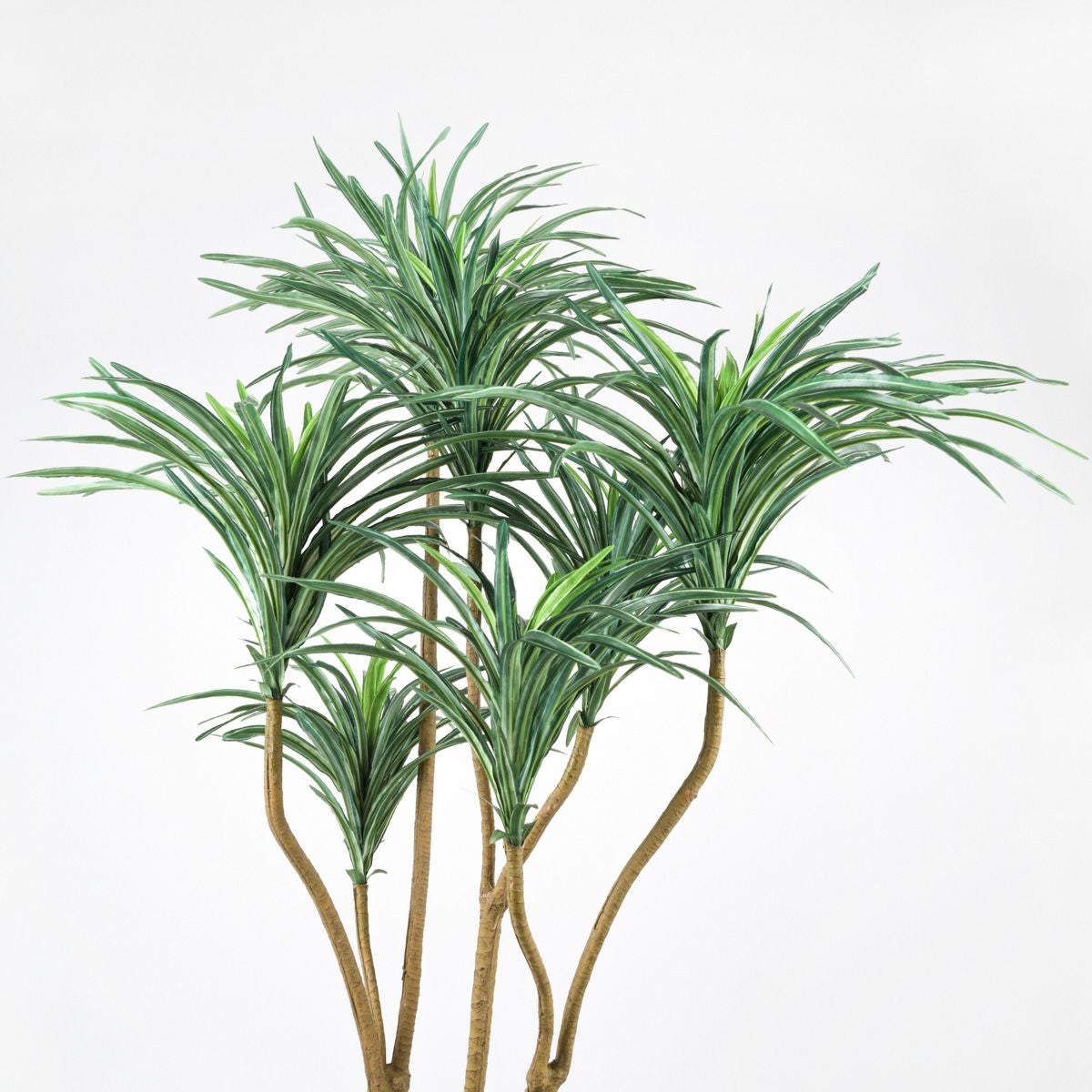 《オンライン限定》ユッカ フェイクグリーン [WEB525]