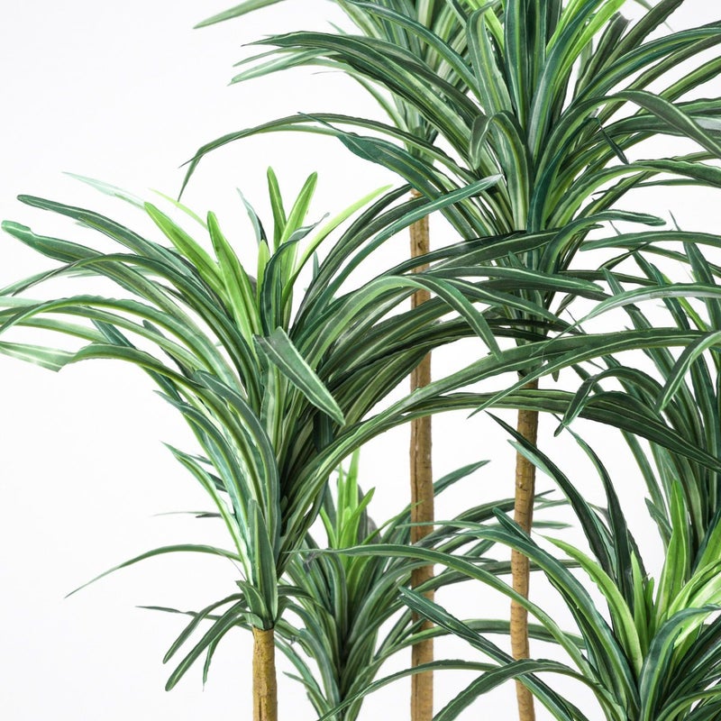 《オンライン限定》ユッカ フェイクグリーン [WEB525]