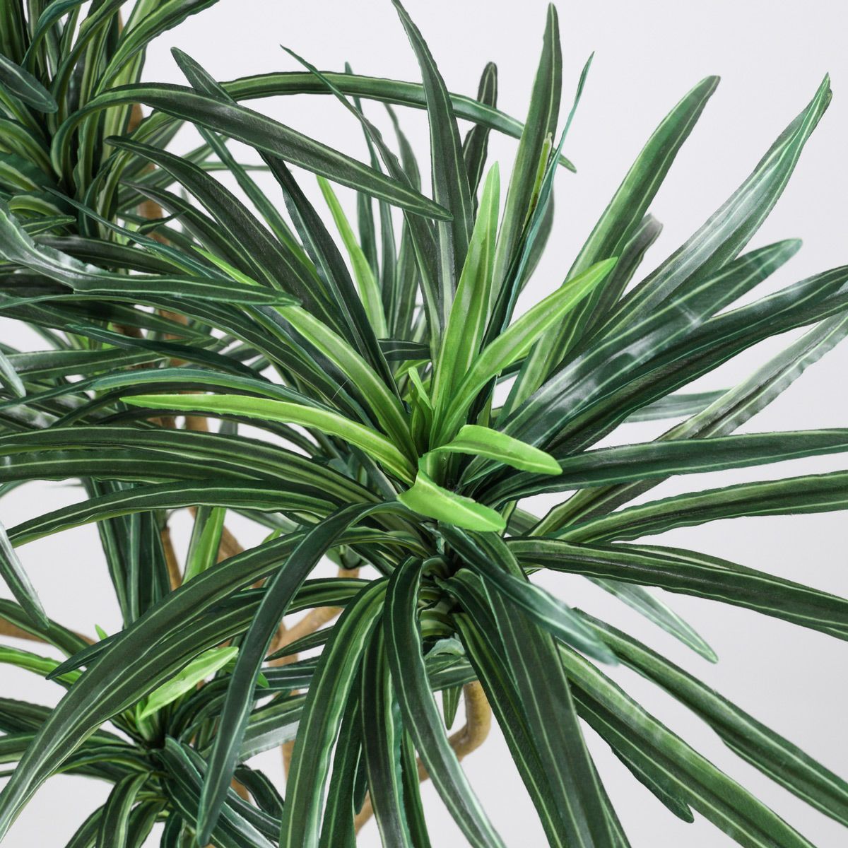 《オンライン限定》ユッカ フェイクグリーン [WEB525]