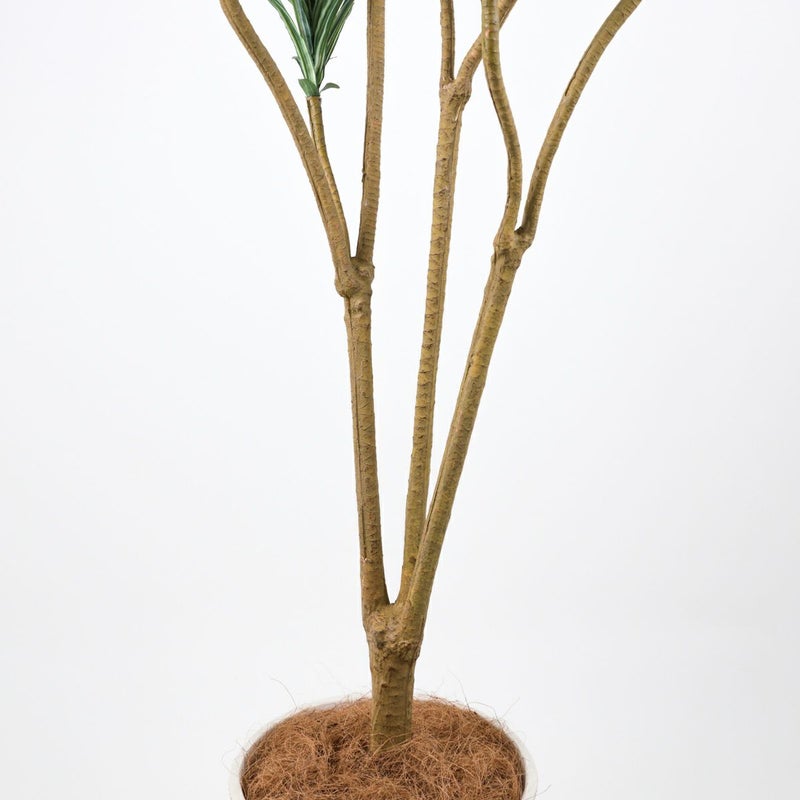 《オンライン限定》ユッカ フェイクグリーン [WEB525]