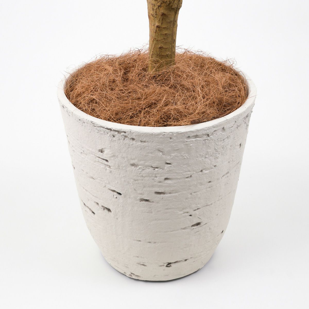 《オンライン限定》ユッカ フェイクグリーン [WEB525]